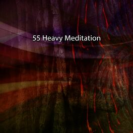Album cover of 55 Heavy Meditation