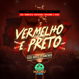 Album cover of Vermelho E Preto (Isso Aqui É Flamengo)