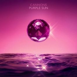 Album cover of Purple Sun