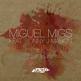 Album cover of Burnin' Up (feat. Sonny J Mason)