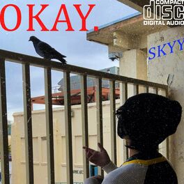 Album cover of OKAY (SKYY Remix)