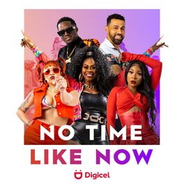 Album cover of NO TIME LIKE NOW (DIGICEL)