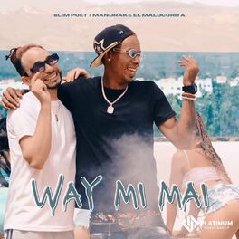 Album cover of Way Mi Mai