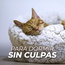 Album cover of Para dormir sin culpa
