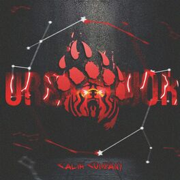 Album cover of Ursa Maior