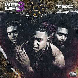 Album cover of Web Life Vol. 3