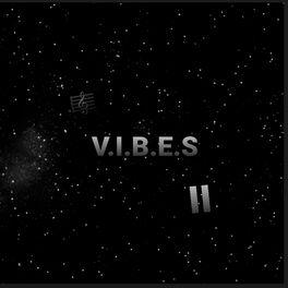 Album cover of V.I.B.E.S II (Instrumental Version)