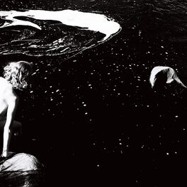 Album cover of Shelter