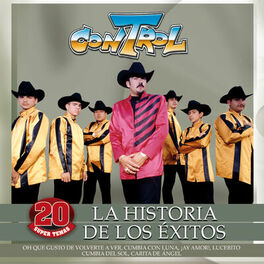Album cover of La Historia De Los Éxitos (20 Super Temas)
