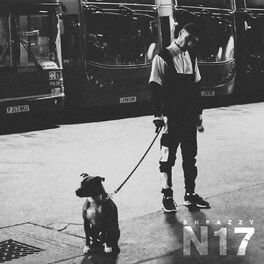 Album picture of N17