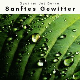 Album cover of 1 Sanftes Gewitter