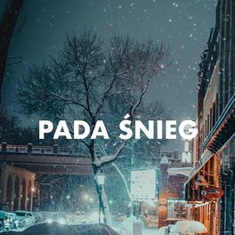 Album cover of Pada Śnieg