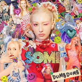 Album cover of DUMB DUMB