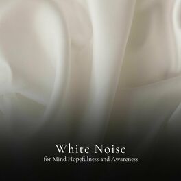 Album cover of * White Noise for Mind Hopefulness and Awareness *