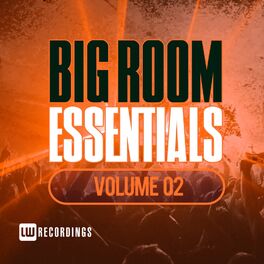 Album cover of Big Room Essentials, Vol. 02