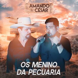 Album cover of Os Menino da Pecuária