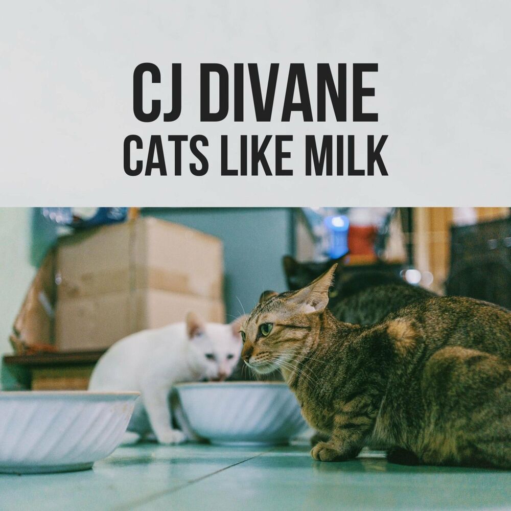 Cats like milk