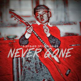 Album cover of Never Gone