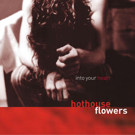 Album cover of Into Your Heart