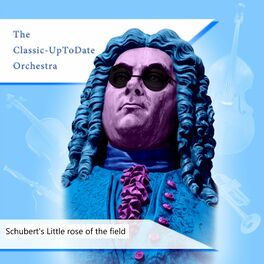 Album cover of Schubert's Little rose of the field