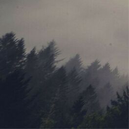 Album cover of Mixed Emotions