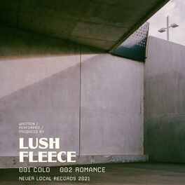 Album cover of Cold / Romance