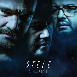 Album cover of Stele