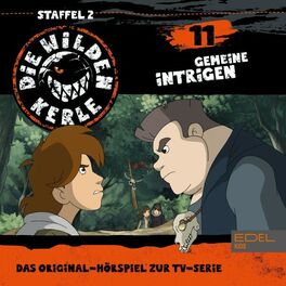 Album cover of Folge 11 (Das Original-Hörspiel zur TV-Serie)
