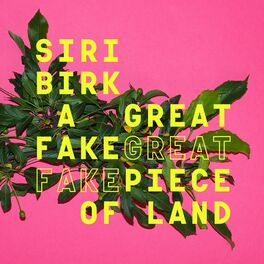 Album cover of A Great Fake Piece of Land