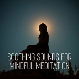 Album cover of Soothing Sounds for Mindful Meditation
