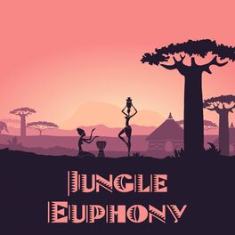 Album cover of Jungle Euphony: Chill African Café