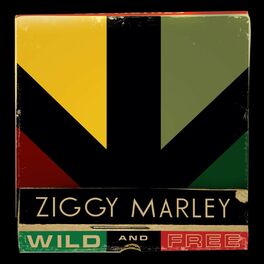 Album cover of Wild and Free