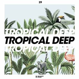 Album cover of Tropical Deep, Vol. 29