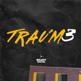 Album cover of Traum3