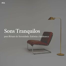 Album cover of *Sons Tranquilos para Rituais de Serenidade, Euforia e Ayahuasca *