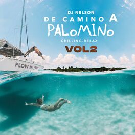 Album cover of De Camino a Palomino, Vol. 2