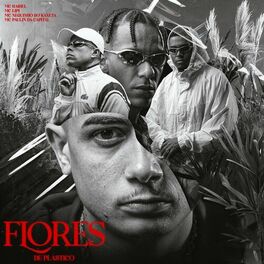 Album cover of Flores de Plástico