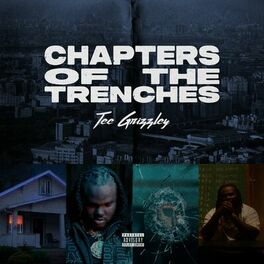 Album cover of Chapters Of The Trenches
