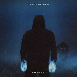 Album cover of Light: Lions