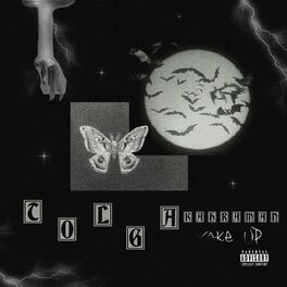 Album cover of Wake UP