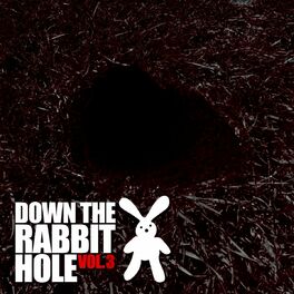Album cover of Down The Rabbit Hole Vol.3