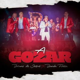 Album cover of A Gozar (En Vivo)