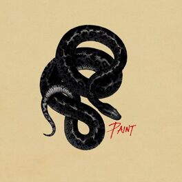 Album cover of Paint