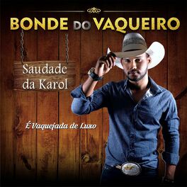 Album cover of Saudade Da Karol