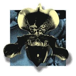 Album cover of NOWHERE02