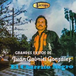 Album cover of Grandes Éxitos de Juan Gabriel González