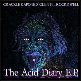 Album cover of The Acid Diary
