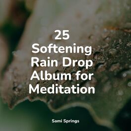 Album cover of 25 Softening Rain Drop Album for Meditation
