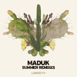 Album cover of Maduk Summer Remixes (Liquicity Presents)