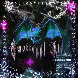 Album cover of Emotional Riot